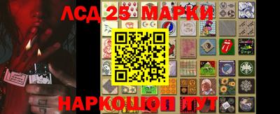 гидропоника Кулебаки