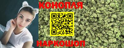 гидропоника Кулебаки