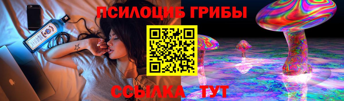 APVP Вольск