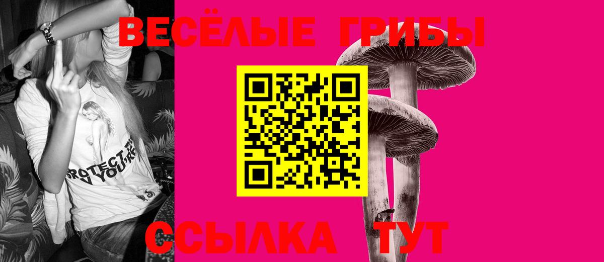 Вольск  Галлюциногенные грибы GOLDEN TEACHER  Вход с VPN 